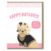 Modern Printed Matter - Madonna French Bulldog Birthday Card