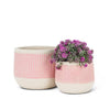 Abbott - Pink Sm Etched Planter-5"D