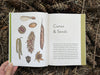 Mountaineers Books - Knowing the Trees: Discover the Forest from Seed to Snag