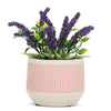 Abbott - Pink Sm Etched Planter-5"D