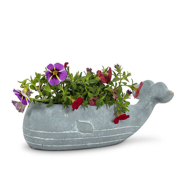 Abbott - Sm Whale Low Planter-8"L