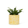 Abbott - Sm Floral Grid Planter-Yellow-4" H