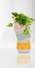 Abbott - Pink Sm Etched Planter-5"D