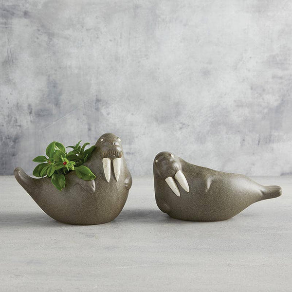 47th & Main (Creative Brands) - Walrus Planter - Small