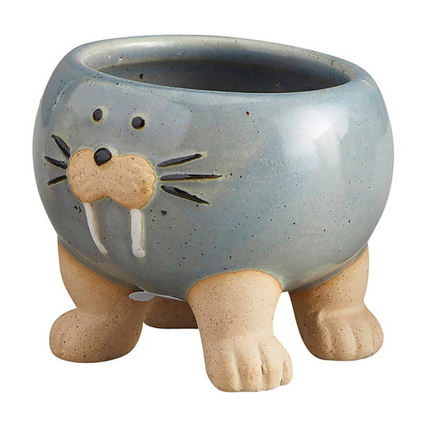 47th & Main (Creative Brands) - Blue Walrus Pot